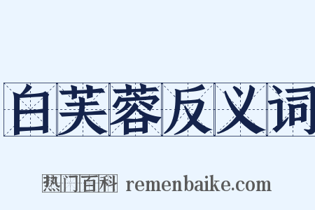 白芙蓉反义词是什么意思的图片